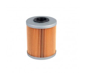 Phasellus lacinia aliquet ipsum